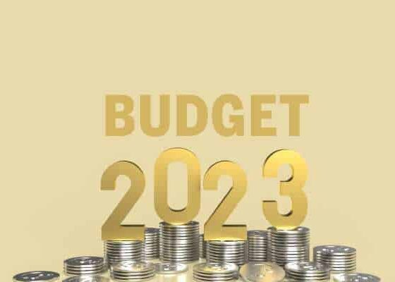 <strong>India Budget 2023-24: Experts find ‘misses’ more dominating than ‘hits’</strong>